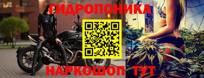 PSILOCYBIN Азнакаево